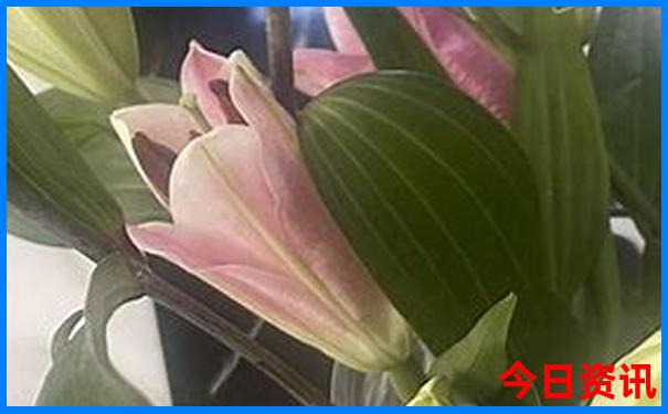 八月份去哪里玩比较凉快