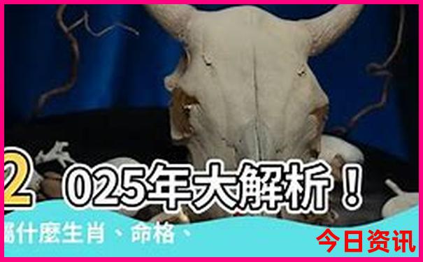 厦门旅游团报名五日游价格是多少